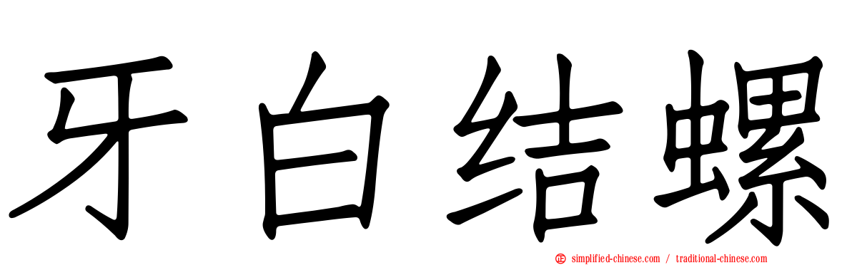 牙白结螺