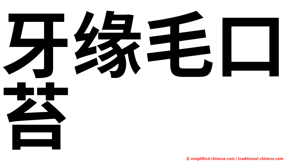 牙缘毛口苔