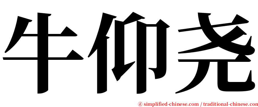 牛仰尧 serif font