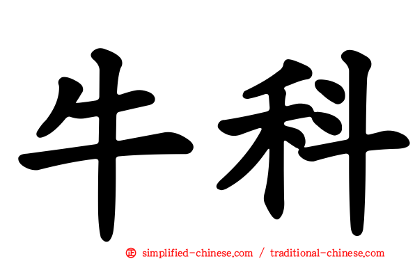 牛科