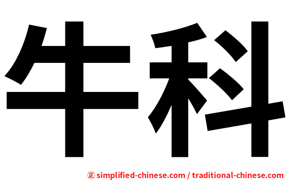 牛科