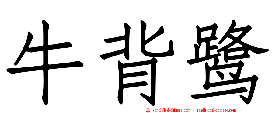 牛背鹭