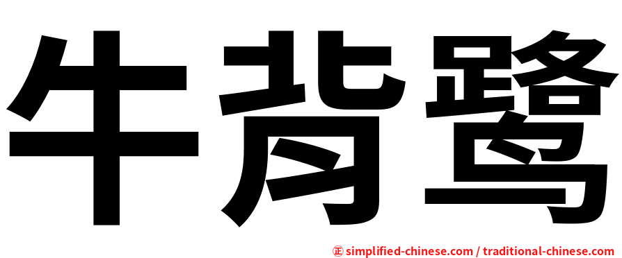 牛背鹭