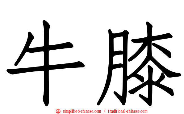 牛膝