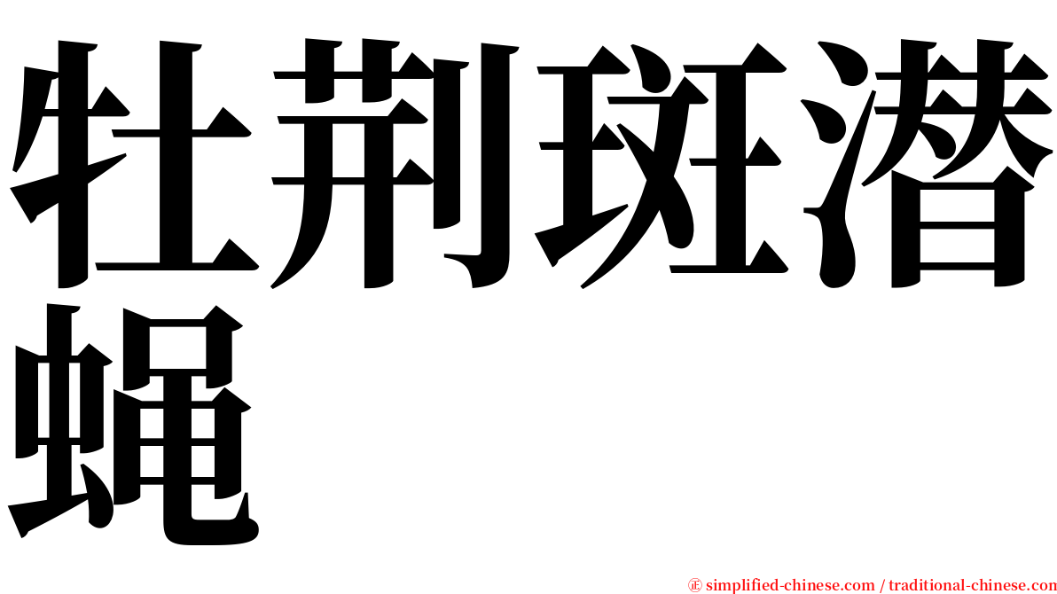 牡荆斑潜蝇 serif font