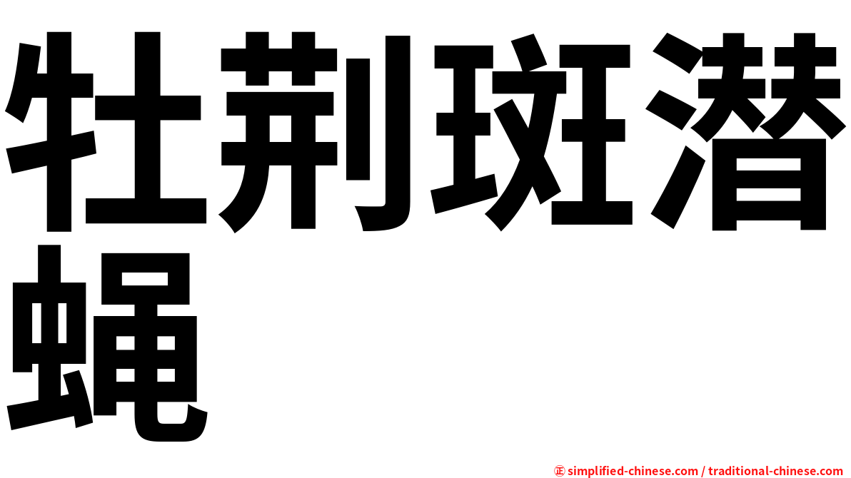 牡荆斑潜蝇