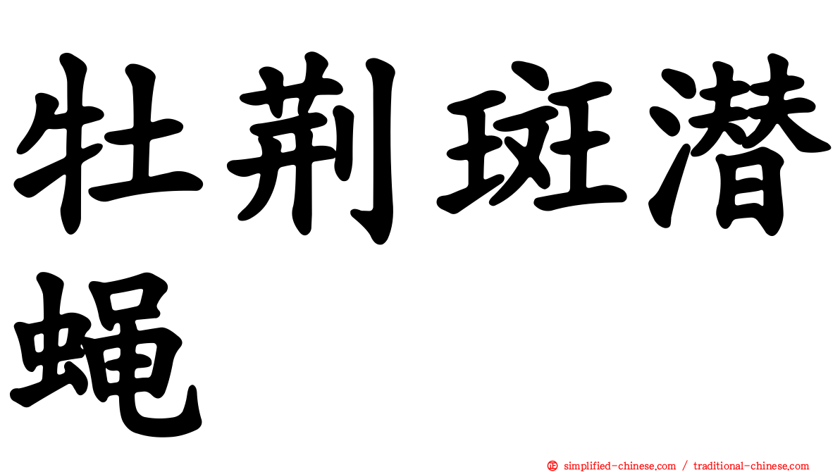 牡荆斑潜蝇