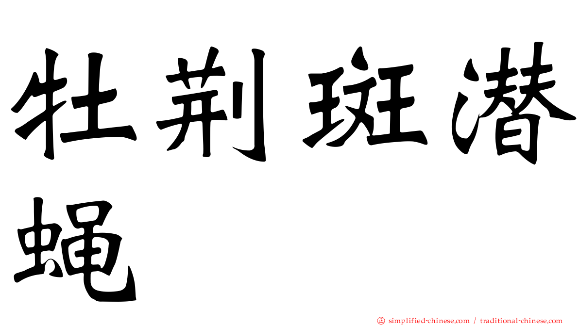 牡荆斑潜蝇
