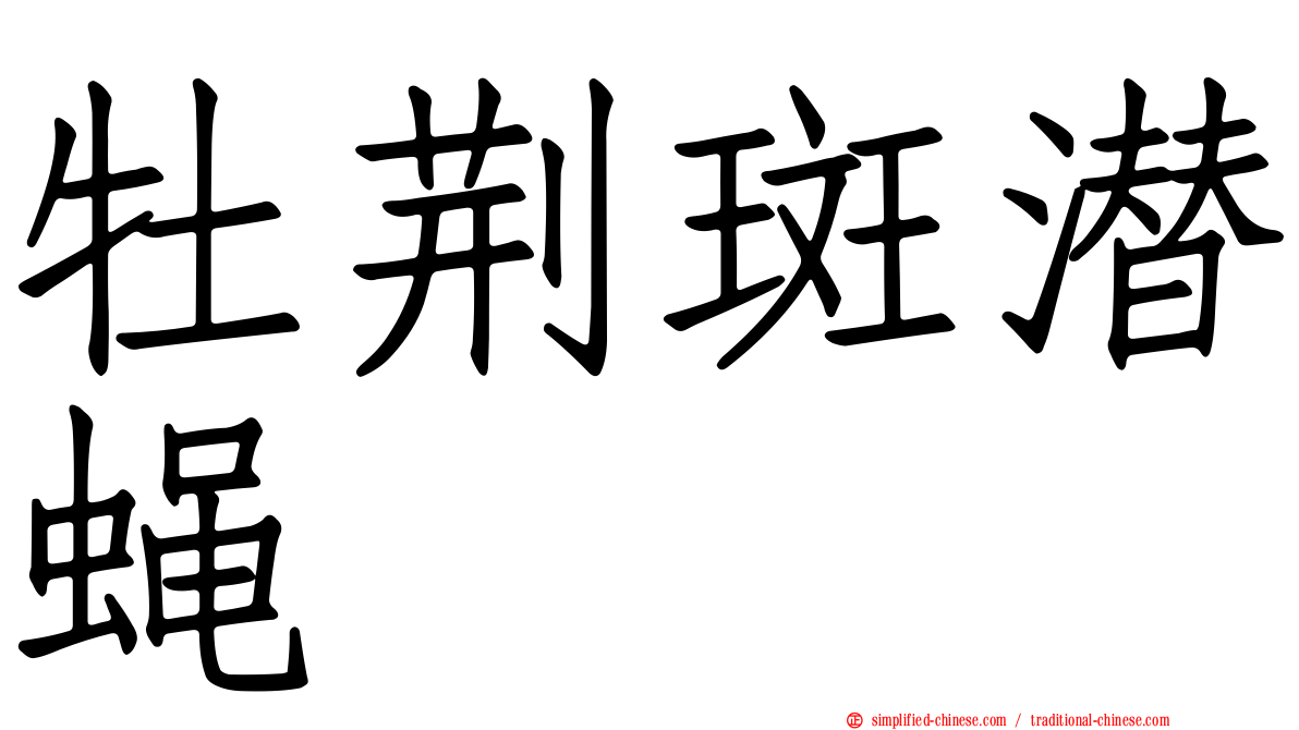 牡荆斑潜蝇