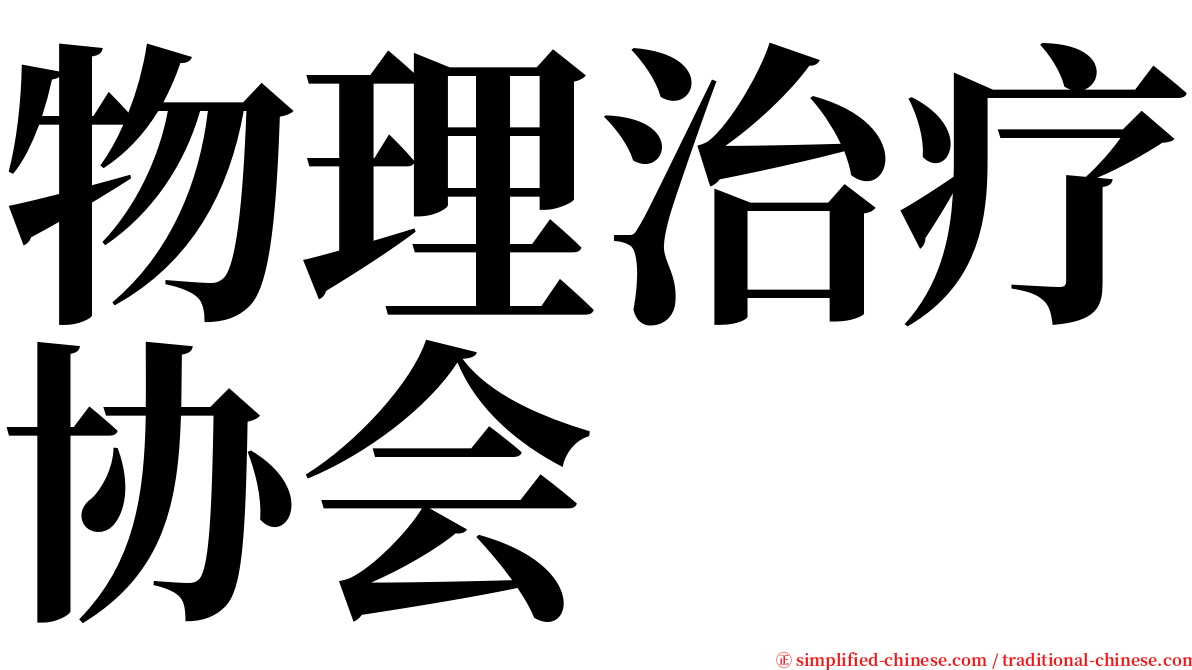 物理治疗协会 serif font