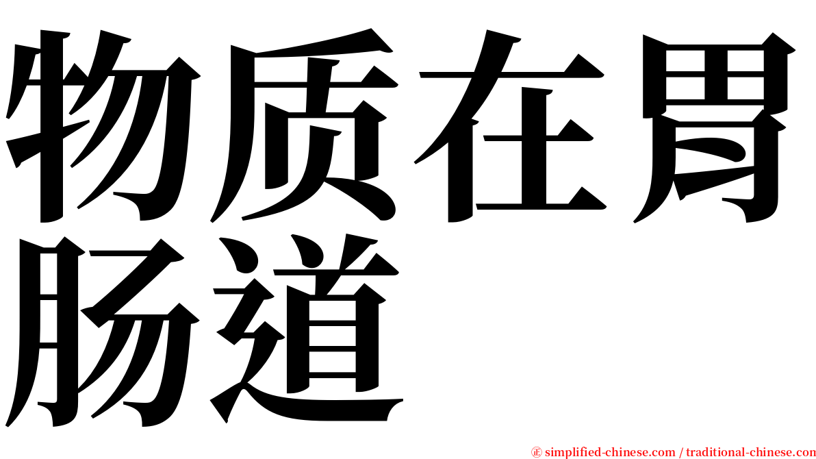 物质在胃肠道 serif font