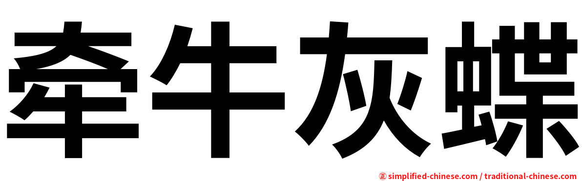牵牛灰蝶