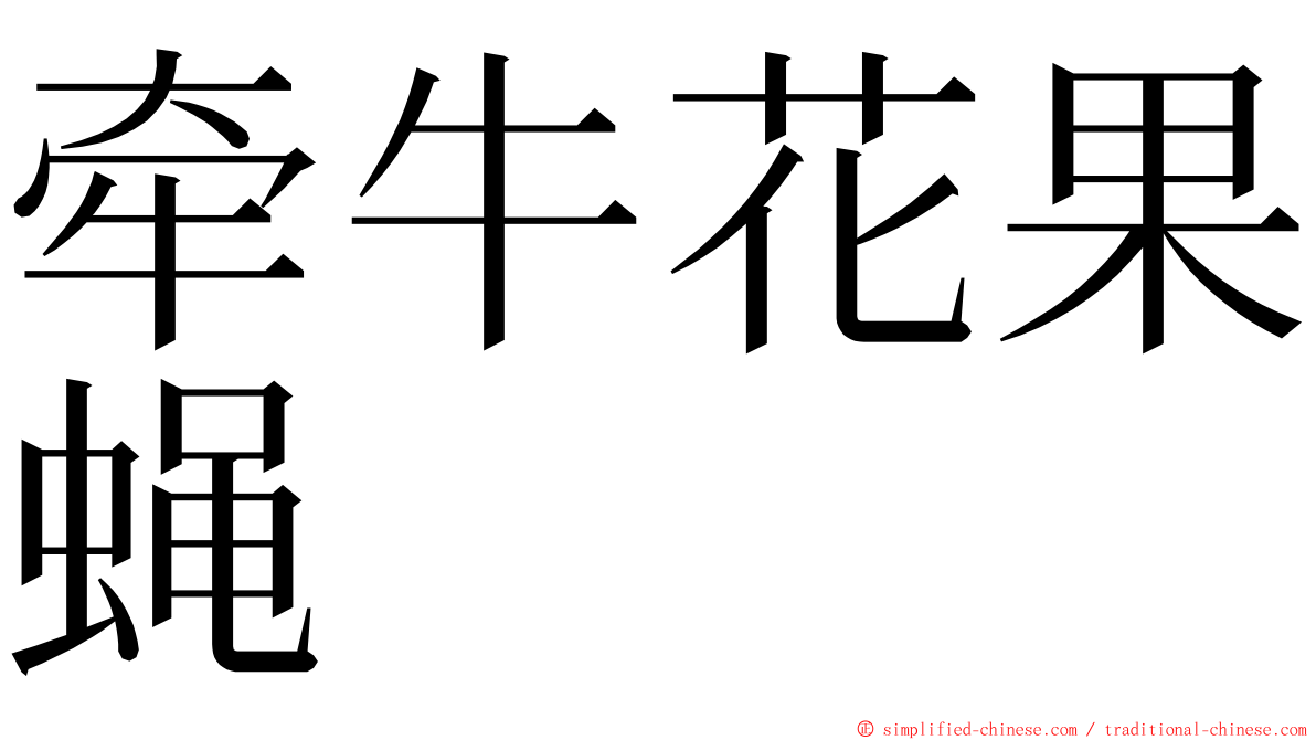 牵牛花果蝇 ming font