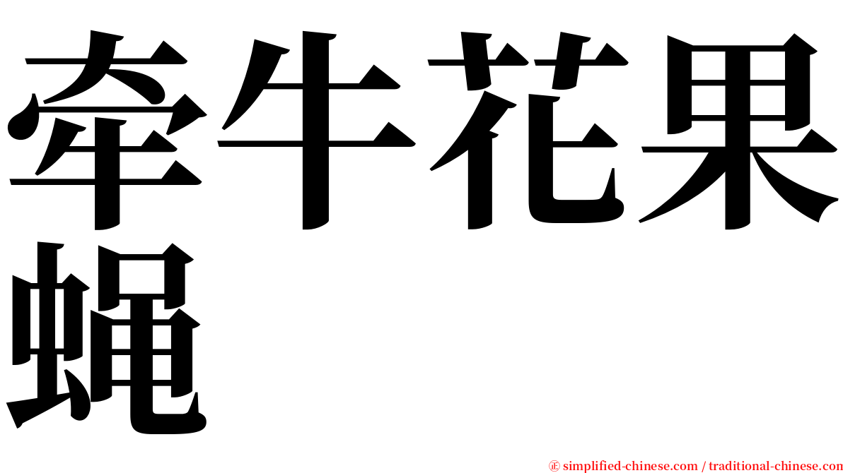 牵牛花果蝇 serif font