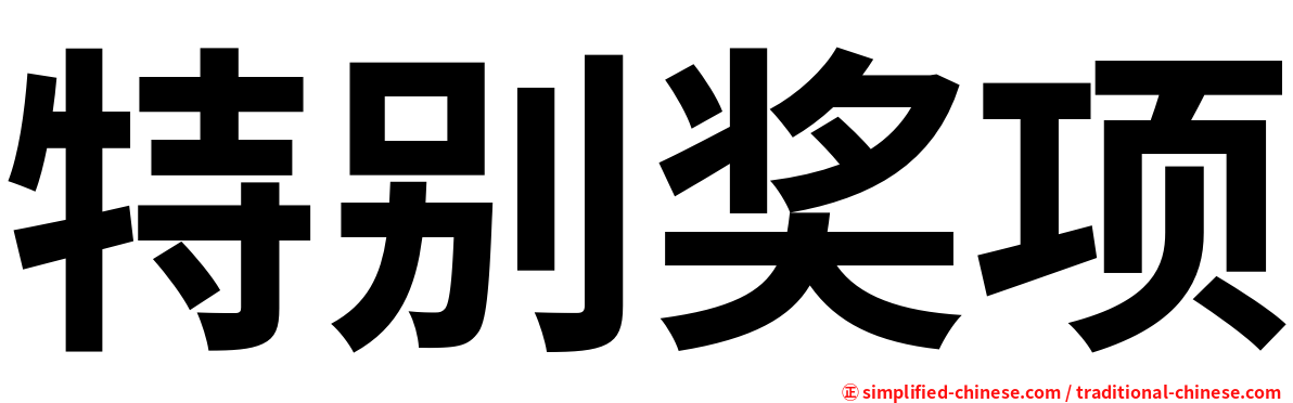 特别奖项