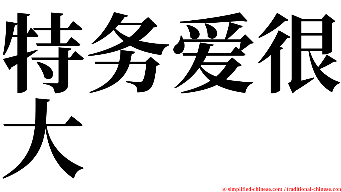 特务爱很大 serif font