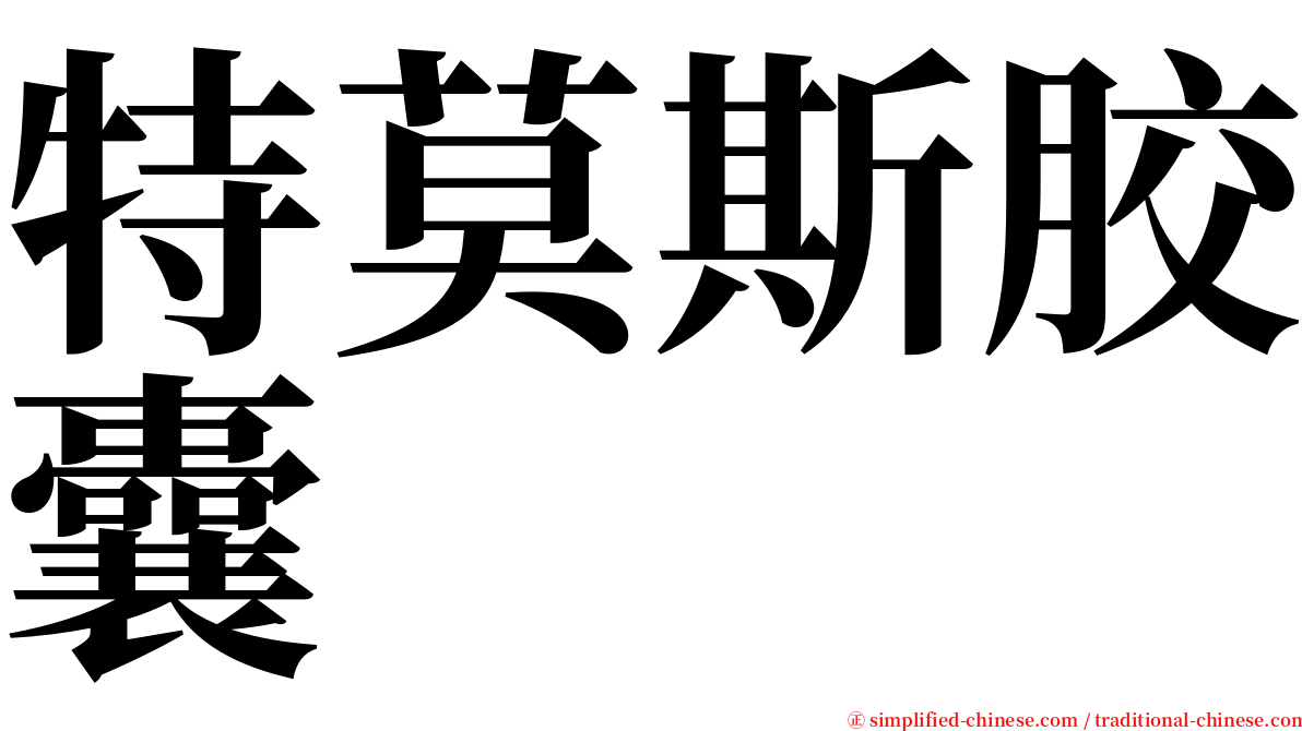 特莫斯胶囊 serif font