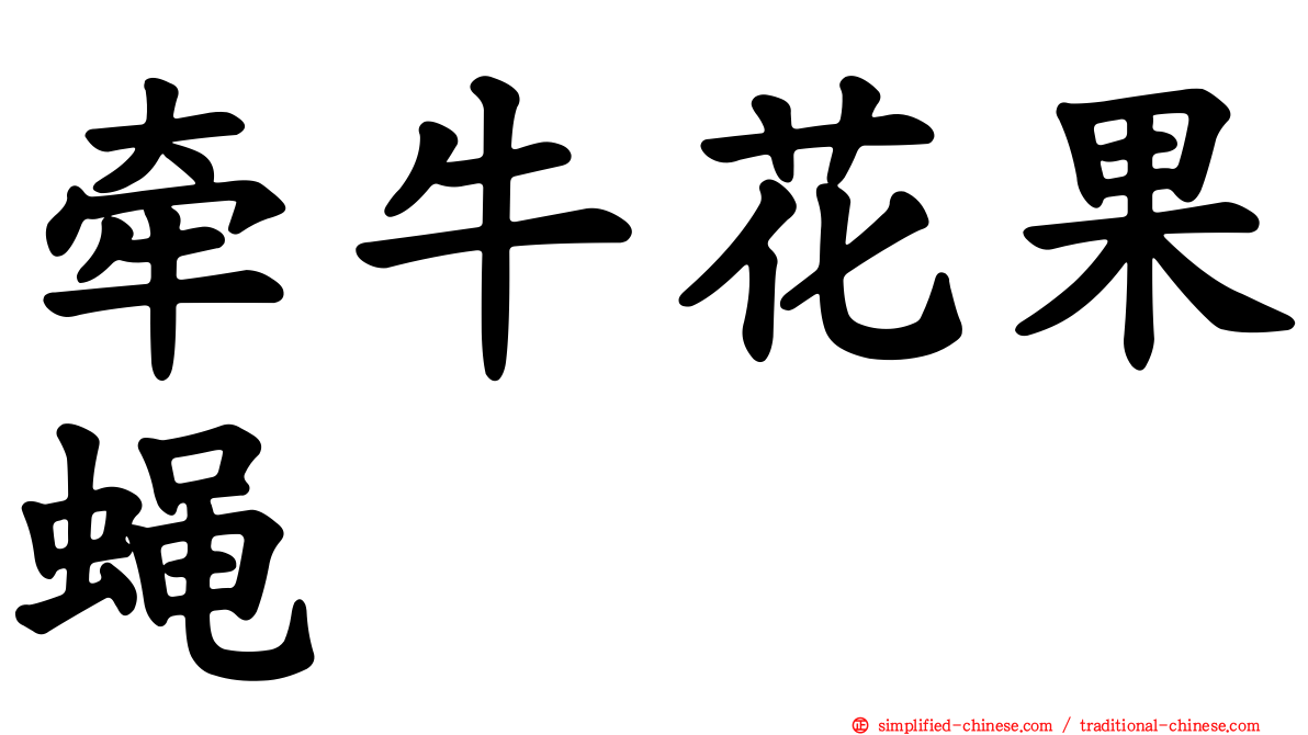 牵牛花果蝇