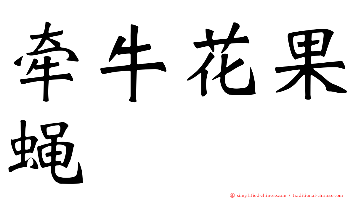 牵牛花果蝇