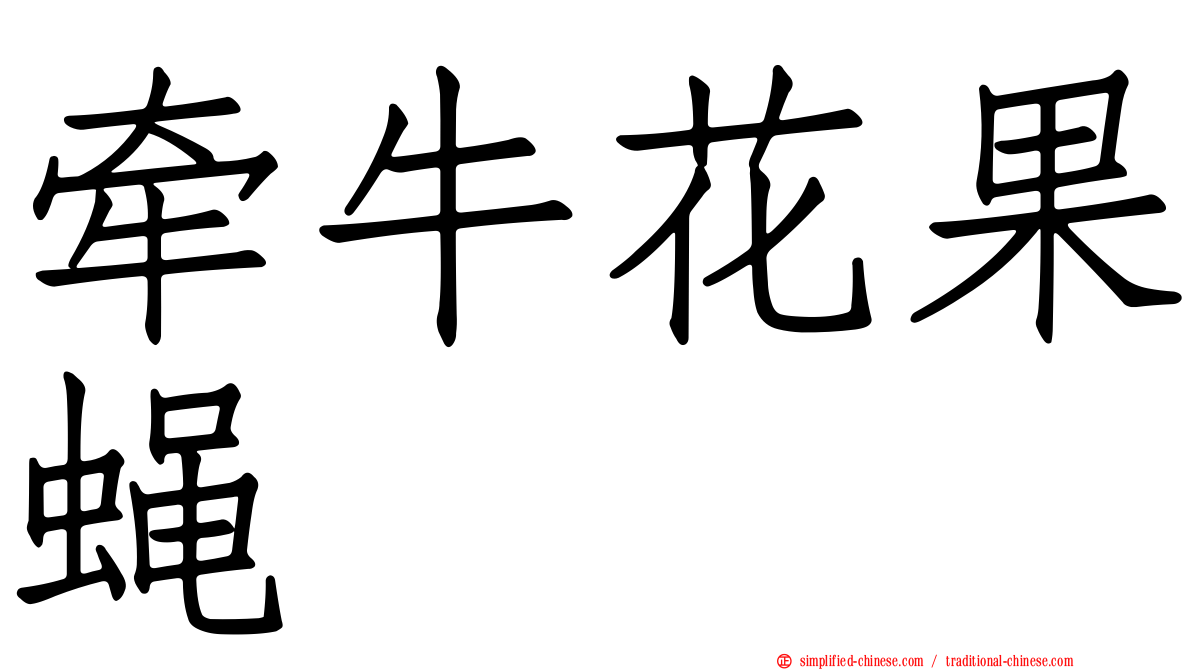 牵牛花果蝇