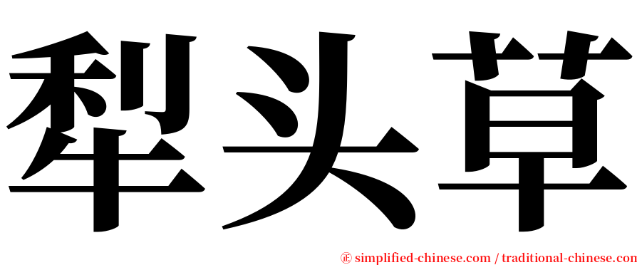 犁头草 serif font