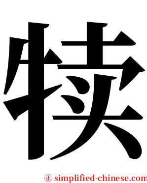 犊 serif font