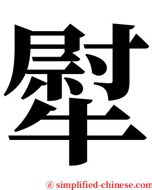 犚 serif font