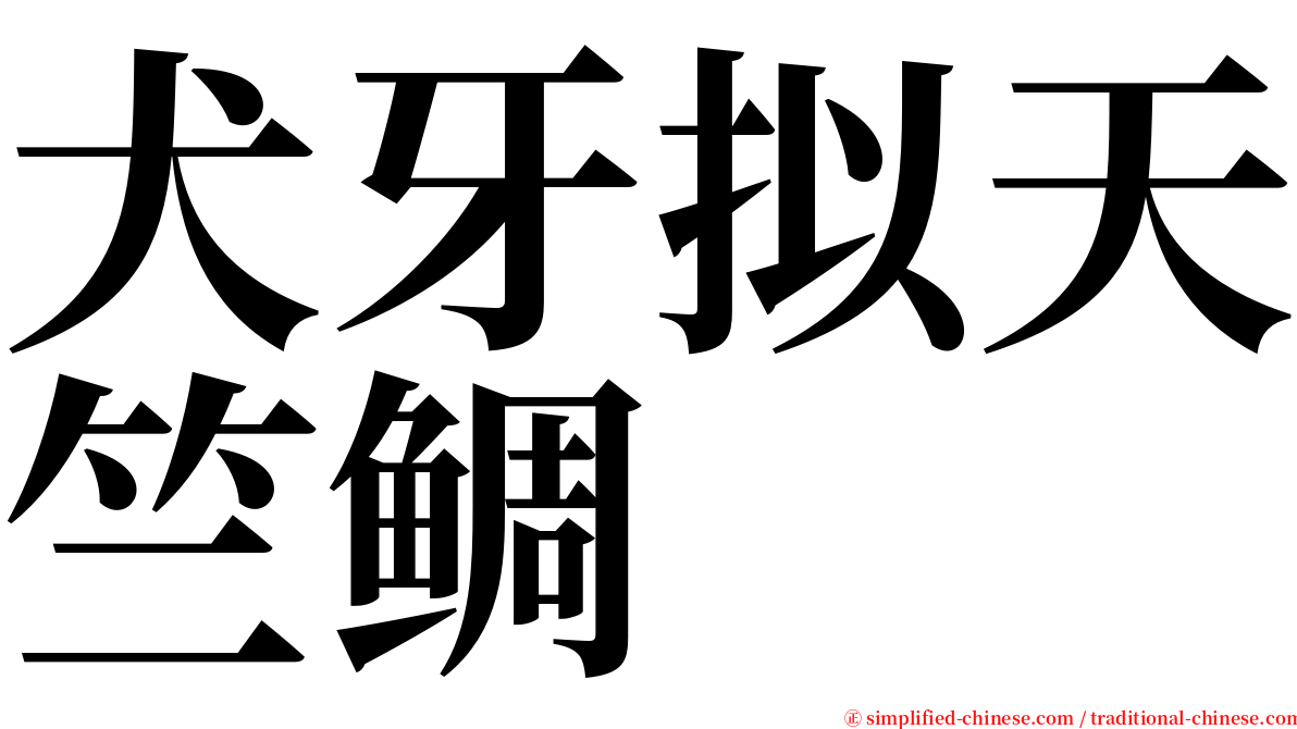 犬牙拟天竺鲷 serif font