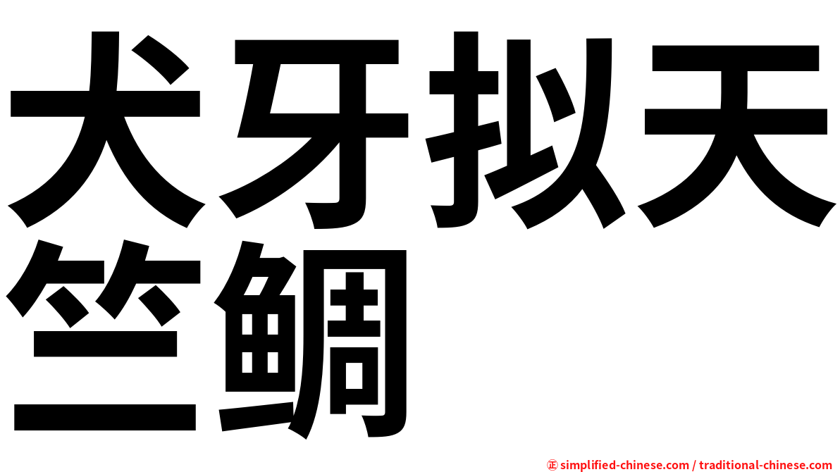 犬牙拟天竺鲷
