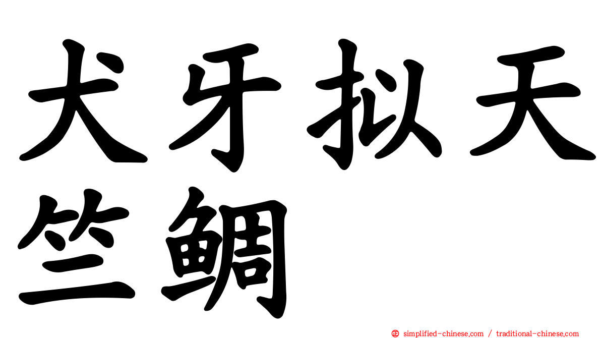 犬牙拟天竺鲷