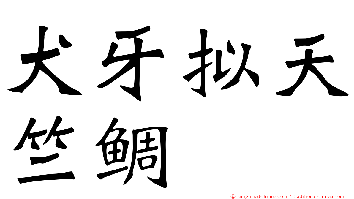 犬牙拟天竺鲷