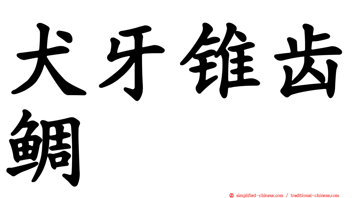 犬牙锥齿鲷