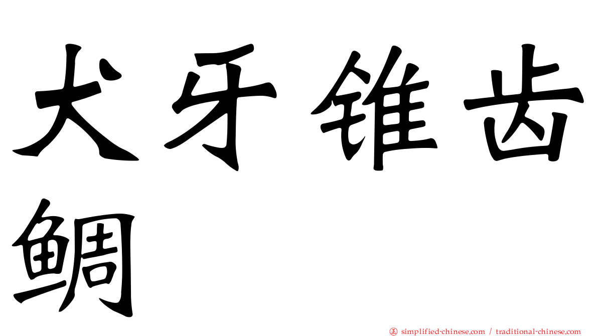 犬牙锥齿鲷