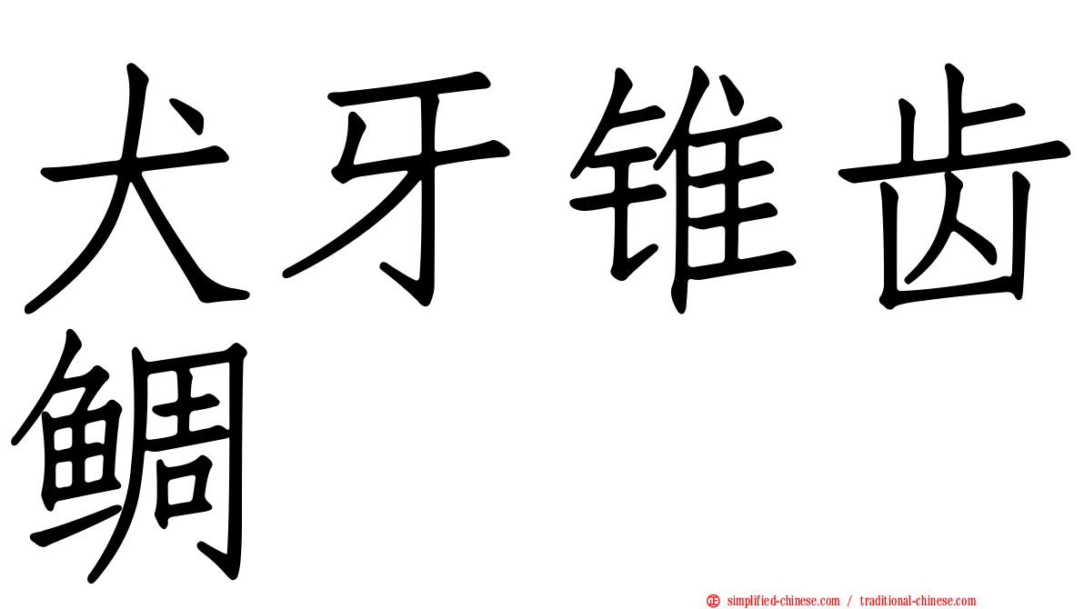犬牙锥齿鲷