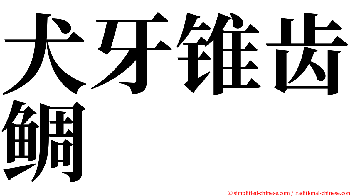 犬牙锥齿鲷 serif font