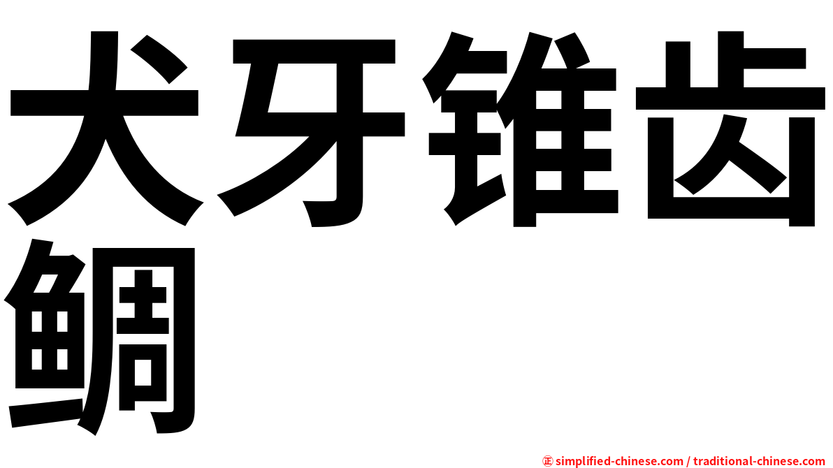犬牙锥齿鲷