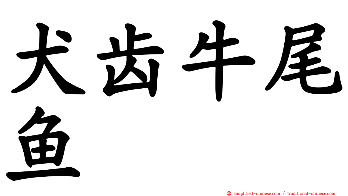 犬齿牛尾鱼