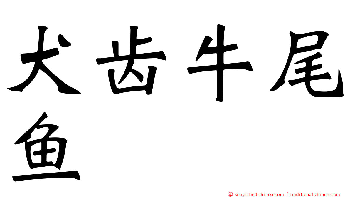 犬齿牛尾鱼
