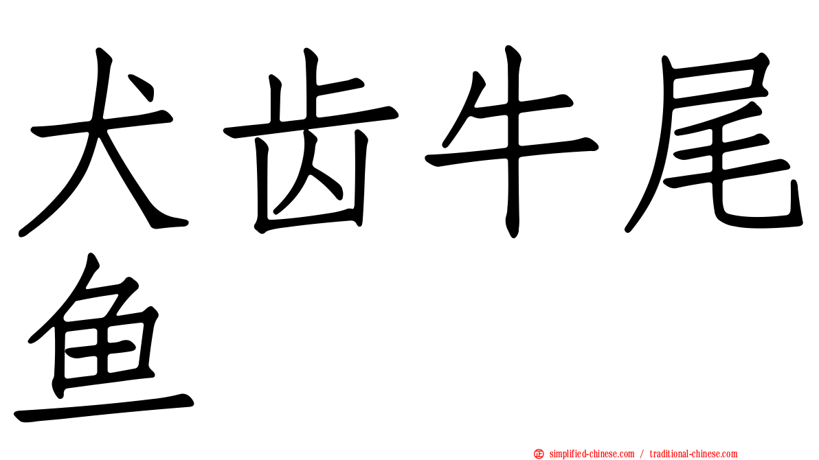 犬齿牛尾鱼
