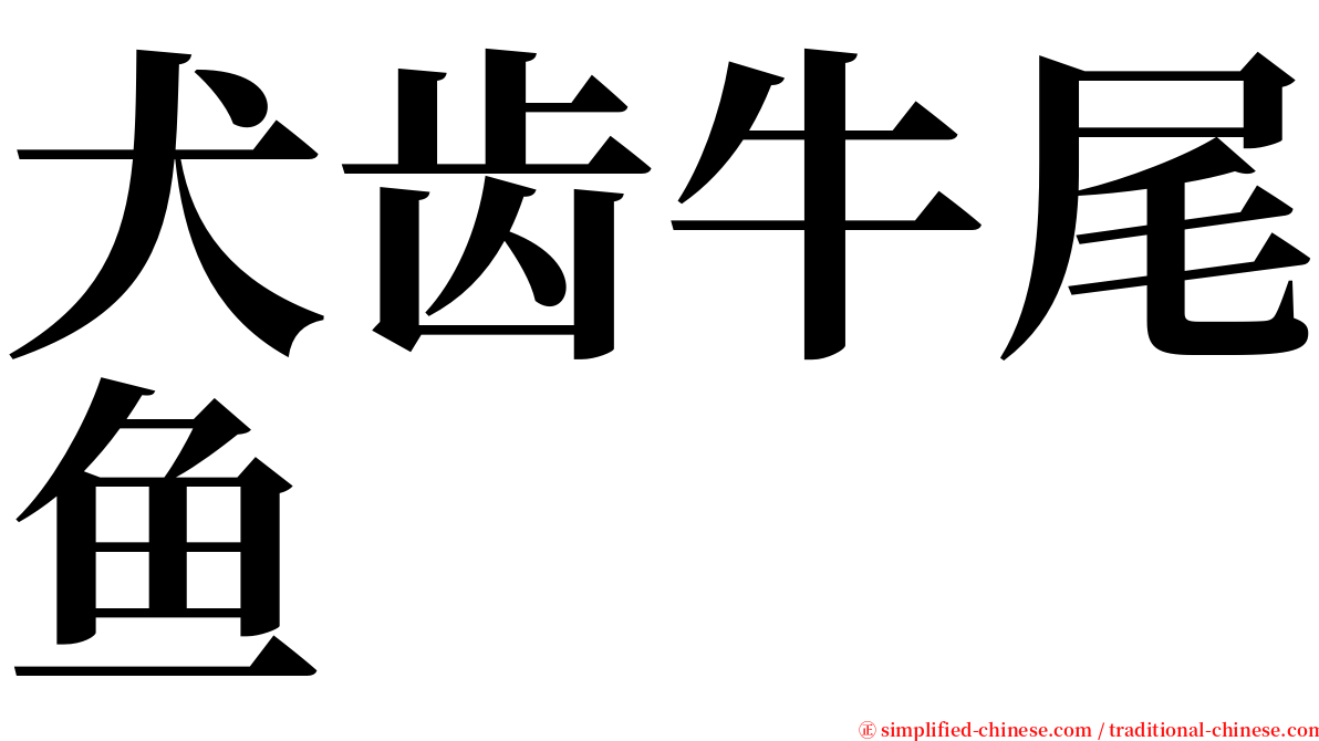 犬齿牛尾鱼 serif font