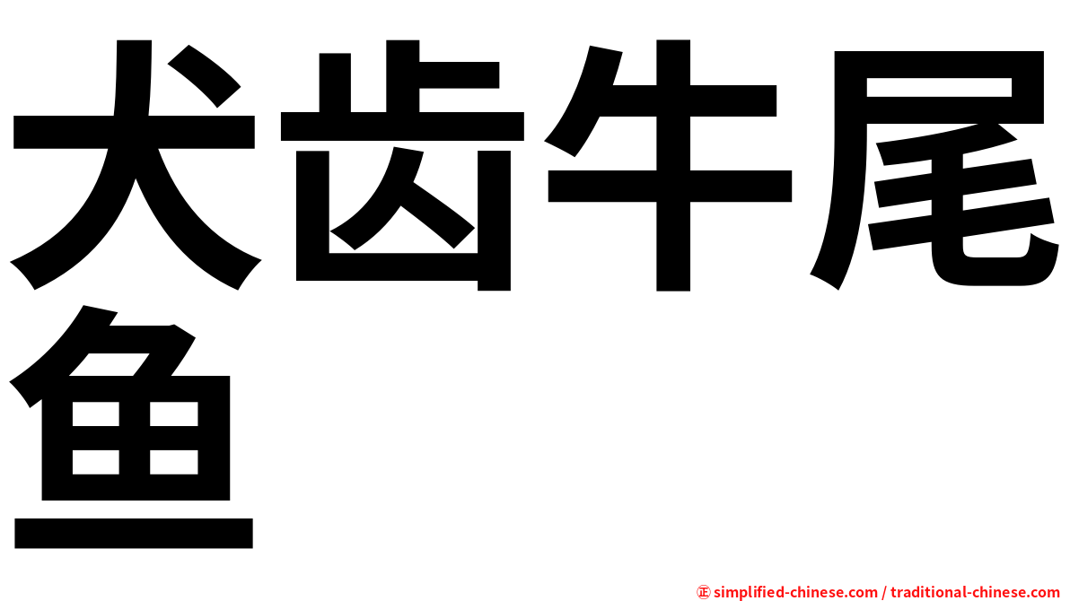 犬齿牛尾鱼