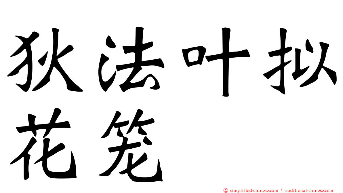 狄法叶拟花笼