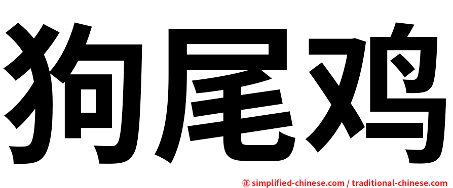 狗尾鸡