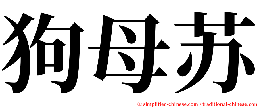 狗母苏 serif font