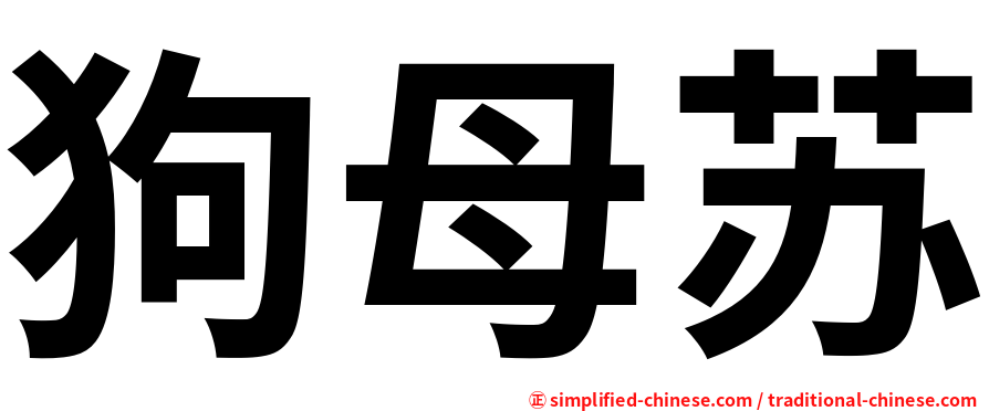 狗母苏