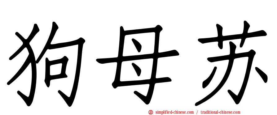狗母苏