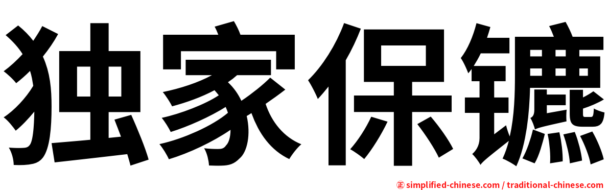 独家保镳