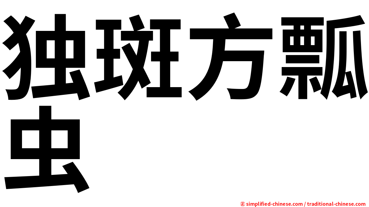独斑方瓢虫
