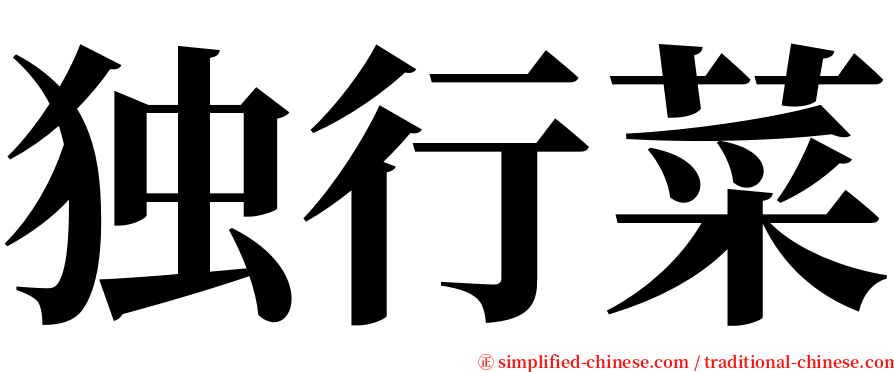 独行菜 serif font
