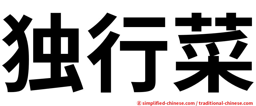 独行菜